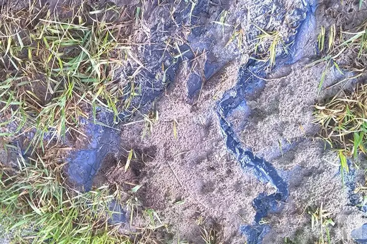 Vuilstort-park Nauerna voor onbepaalde tijd gesloten vanwege &#39;blauwe smurrie&#39;