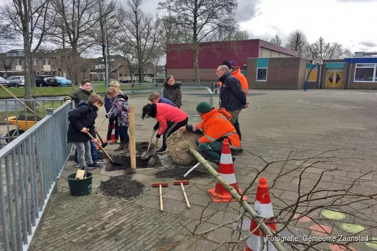 ”Het schoolplein mag wel wat groener”