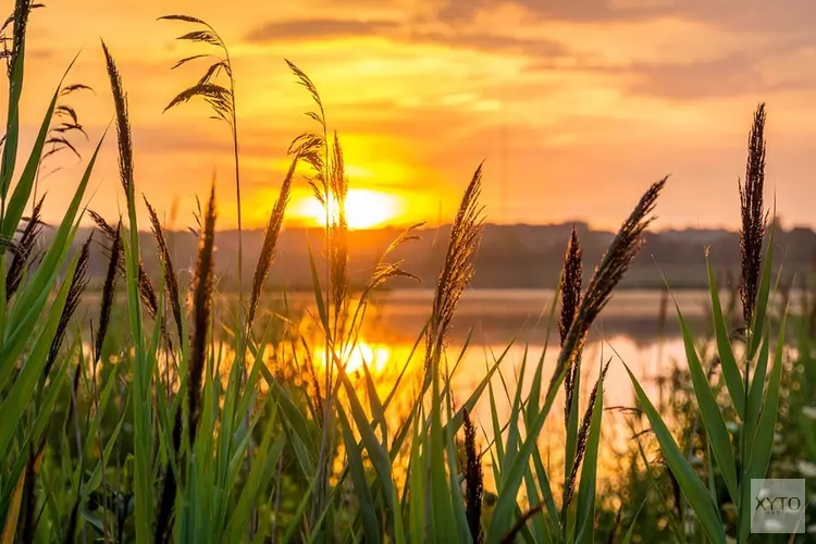 Weekend zomerse temperaturen, maar vergeet je paraplu niet