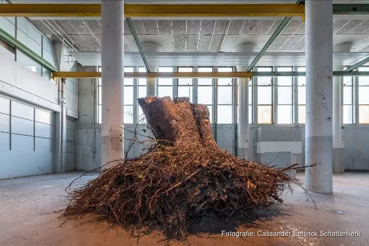 Neem gratis een kijkje in de geschiedenis van het Hembrugterrein