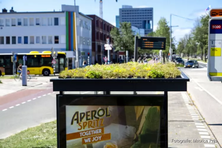 Zaanstad krijgt 18 bushokjes met groen dak