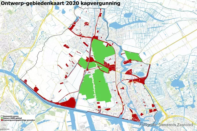 Vergunningsplicht kappen van bomen op grote percelen verruimd