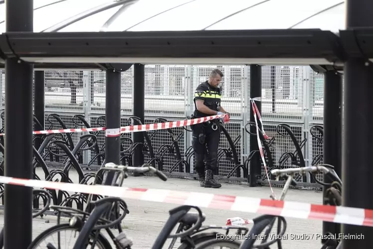 Steekincident op station Krommenie-Assendelft