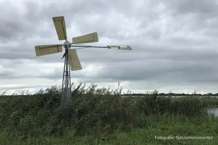 Impuls Weidevogels: waterbeheer en molens