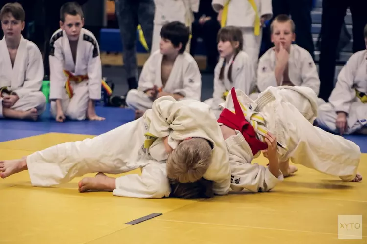 De Pionier start met Schooljudo!