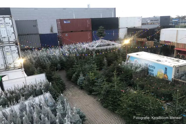 Jonge ondernemers vinden nieuw doel als "Kerstboom Meneer"