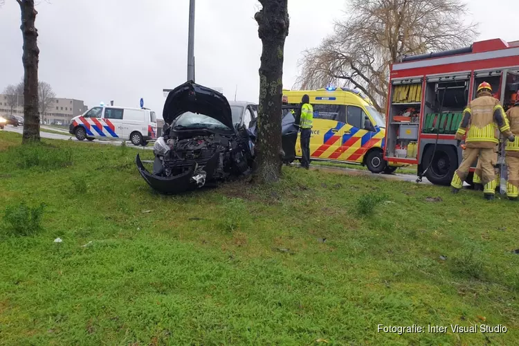 Auto tegen boom gereden in Zaandam, bestuurder gewond