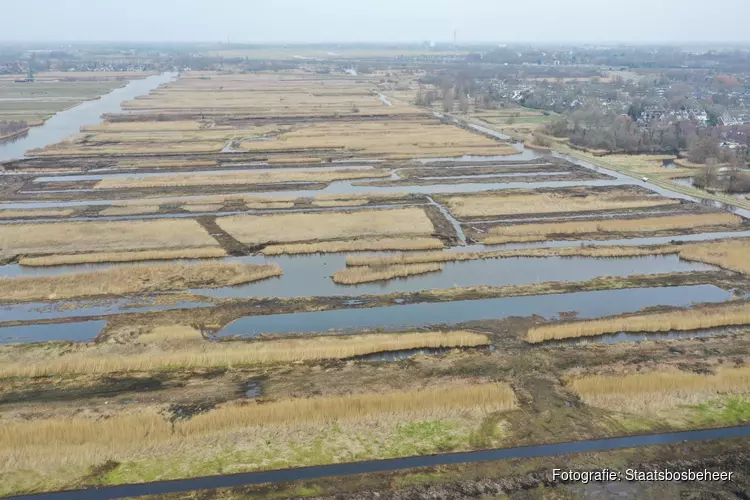 Landelijke primeur: peilverhoging natuurgebied Westzijderveld levert CO₂ -certificaten op