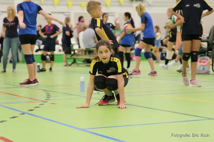 Instuiftraining volleybal op open dag VV Zaanstad - Zaterdag 11 september