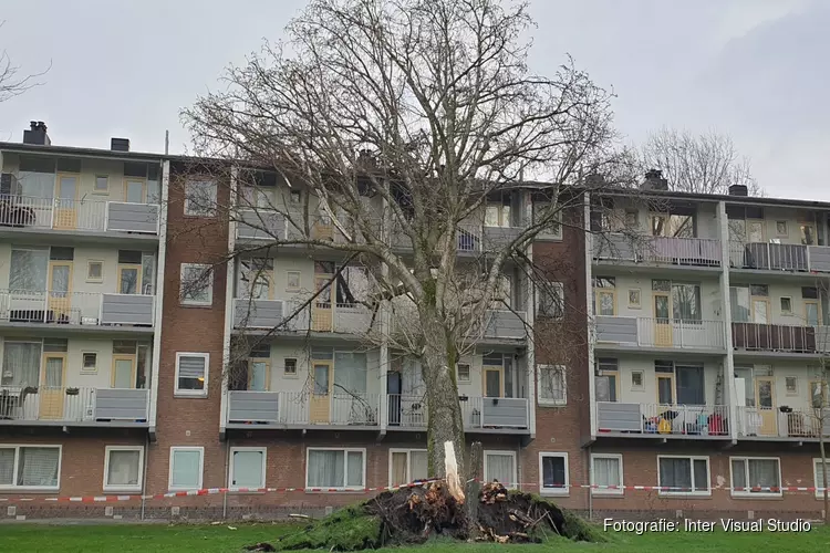 Boom waait tegen flatgebouw in Zaandam