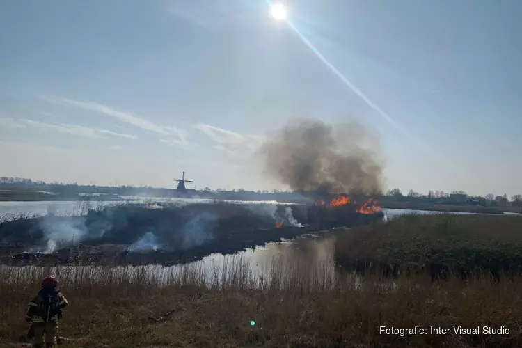 Natuurbrand in het Guisveld