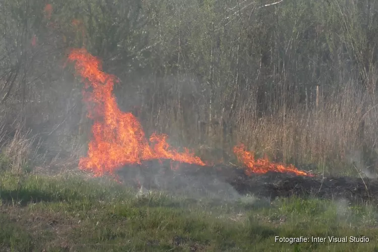 Brandweer in actie voor natuurbrand in Assendelft