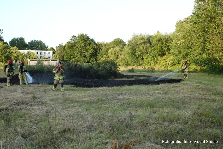 Brandend riet in Zaandam