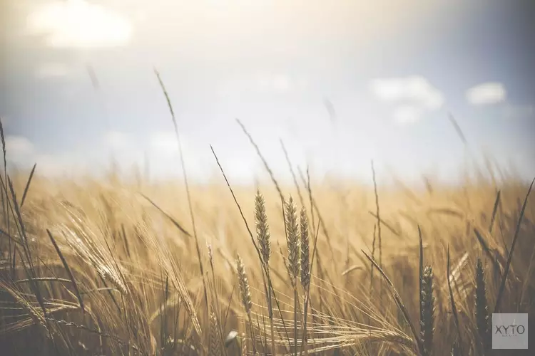 Wisselvallige start van augustus met buien, warmte en vervolgens verkoeling