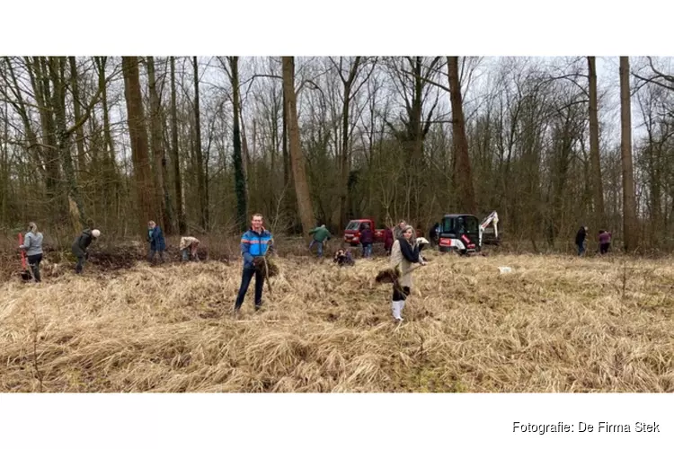 500 boompjes op het Hembrugterrein geoogst voor herplant in Zaanstad