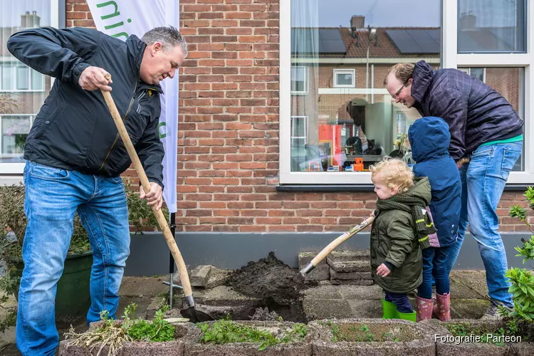 Bewoners van de Zeeheldenbuurt krijgen bomen van de gemeente Zaanstad en Parteon