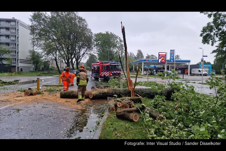 Meerdere bomen omgewaaid in Zaandijk