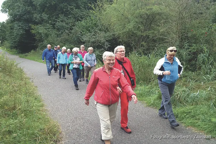 Samen wandelen in Zaandam: gezellig, groen en gezond