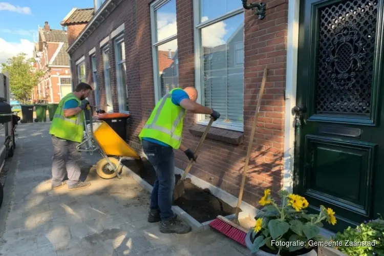 In Zaanstad meeste deelnemers aan NK Tegelwippen: Op 220 plekken gingen dit jaar tegels uit de tuin