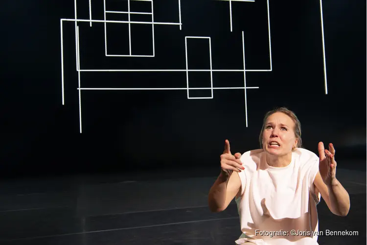 Prijswinnend toneelstuk Girls and Boys met Hadewych Minis te zien in het Zaantheater