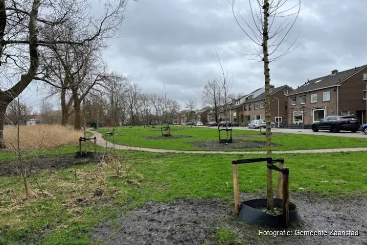 Bomen maken plaats voor betere doorstroming