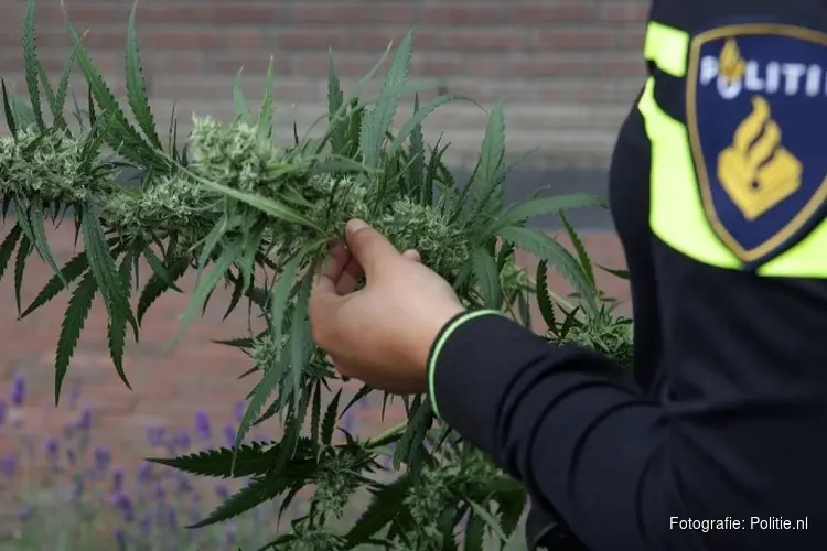 Drugs aangetroffen bij controle in Wormerveer