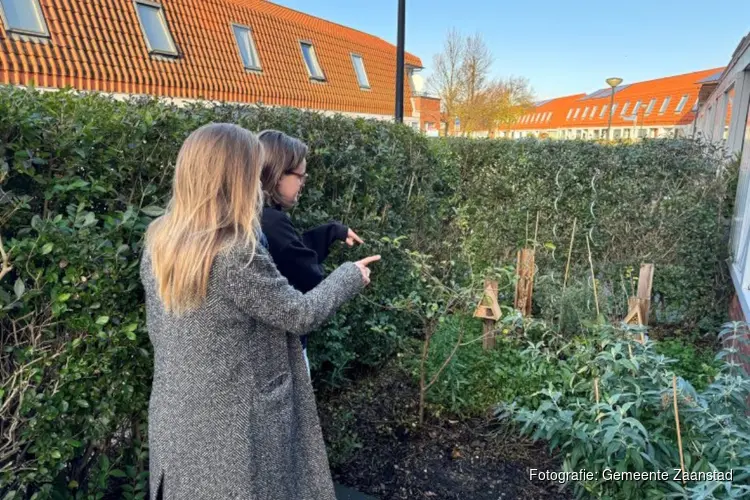 Sanne: ‘Uit mijn tuin mogen nog meer tegels weg’