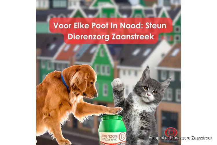 Voor elke poot in nood: Steun Dierenzorg Zaanstreek!