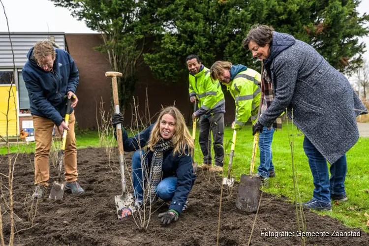 Aanplant gestart: 50 vogelbosjes voor 50 jaar Zaanstad